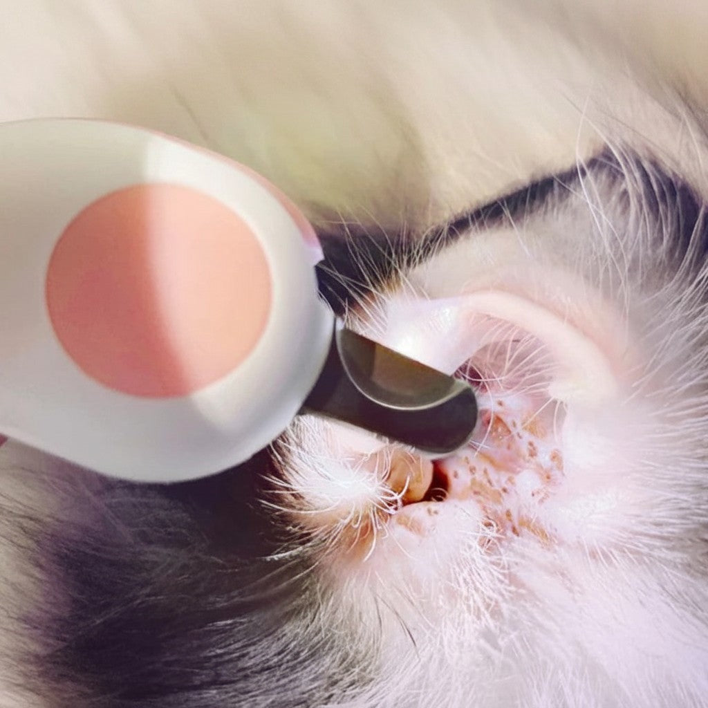 Coupe-griffe Esprit Chat avec éclairage LED intégré pour inspecter les oreilles et couper les griffes en toute sécurité