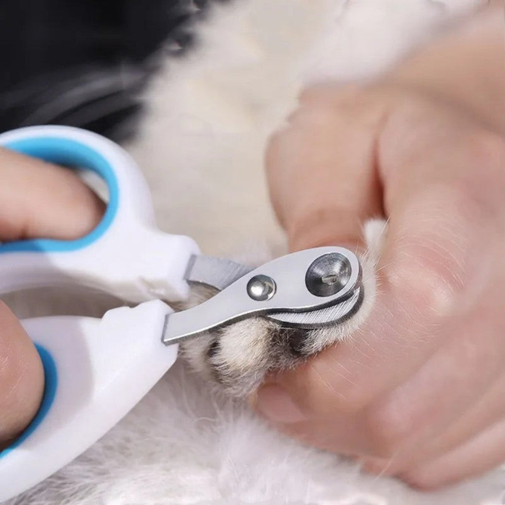 Coupe-griffes Esprit Chat en fer avec poignées ergonomiques blanches et bleues pour couper les ongles d'un chiot