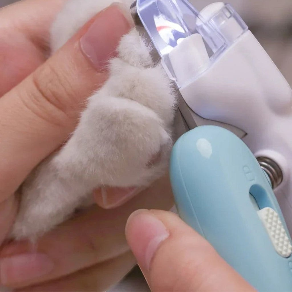 Coupe-ongles Esprit Chat en acier inoxydable avec lumière LED intégrée pour couper les griffes de chat en toute sécurité