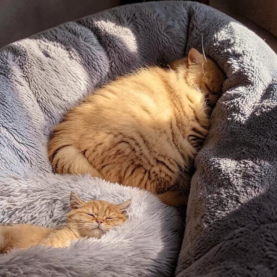 Esprit Chat coussin rond en fausse fourrure pelucheuse pour chat, disponible en rose, vert menthe et gris.