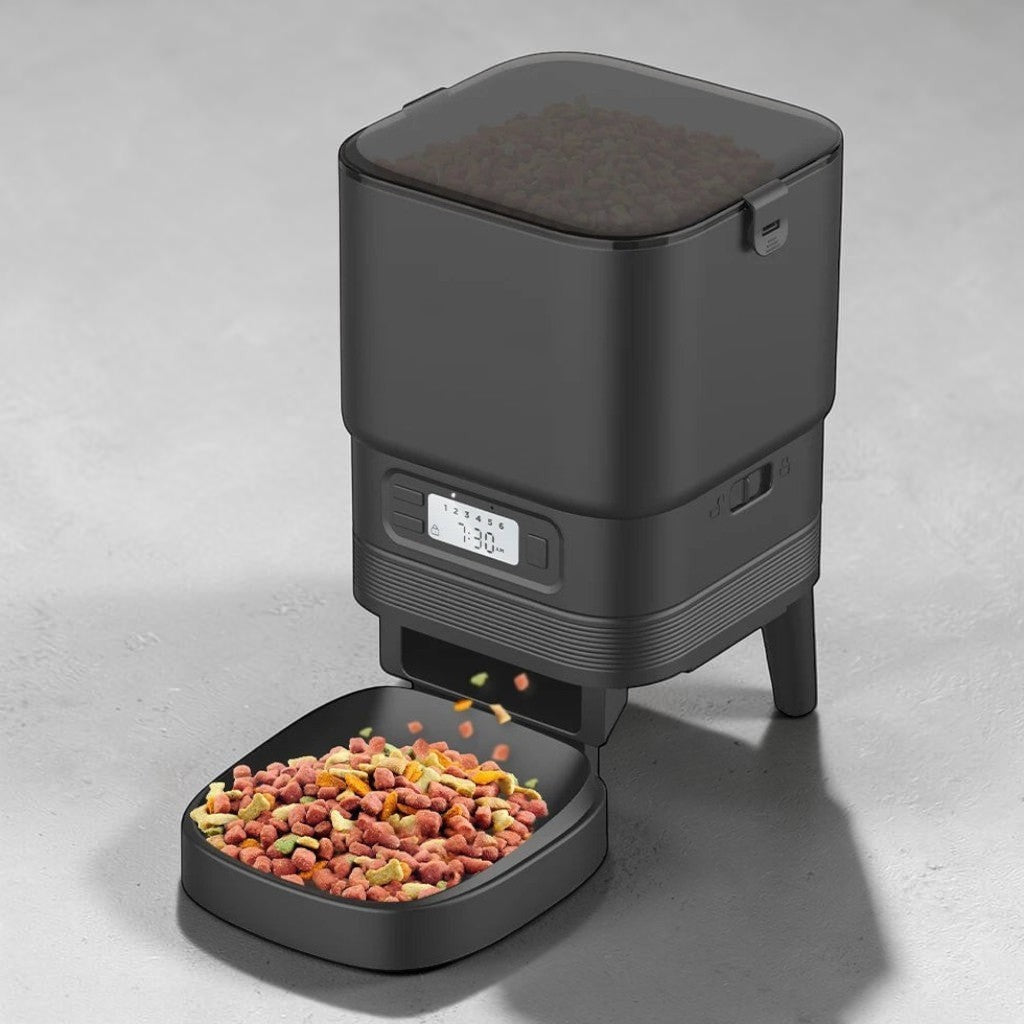 Distributeur automatique de croquettes Esprit Chat noir avec écran LCD et bol en acier inoxydable pour chat