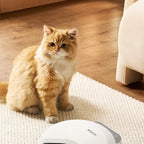 Distributeur automatique de croquettes Esprit Chat blanc avec écran LCD pour chat assis sur un tapis