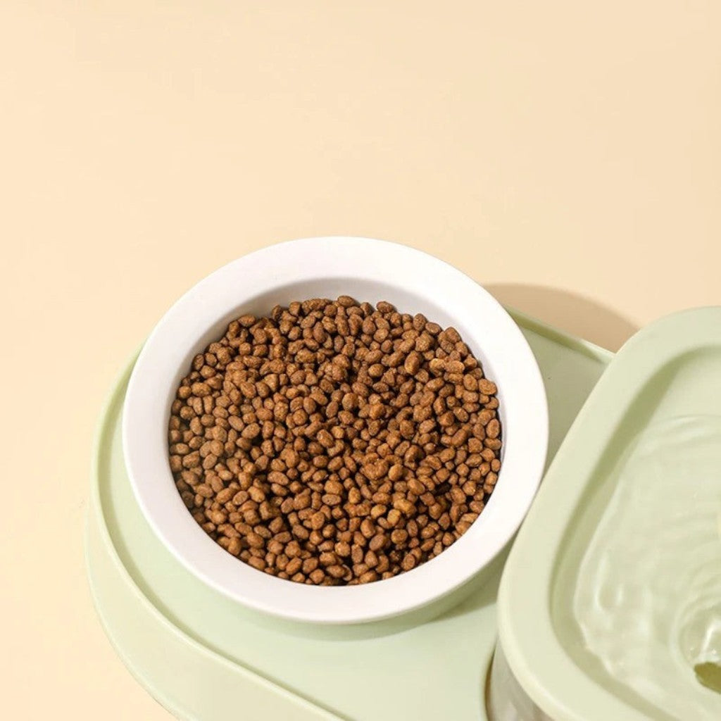 Distributeur Esprit Chat avec bol en acier inoxydable pour croquettes et compartiment d'eau vert pastel