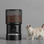 Distributeur automatique de croquettes Esprit Chat cylindrique noir avec écran LCD pour chat