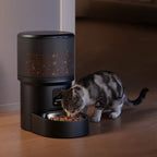 Distributeur de croquettes automatique Esprit Chat noir avec écran LCD et bol en acier inoxydable pour chat