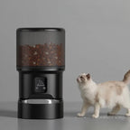 Distributeur automatique de croquettes Esprit Chat noir avec écran LCD et bol en inox pour chat