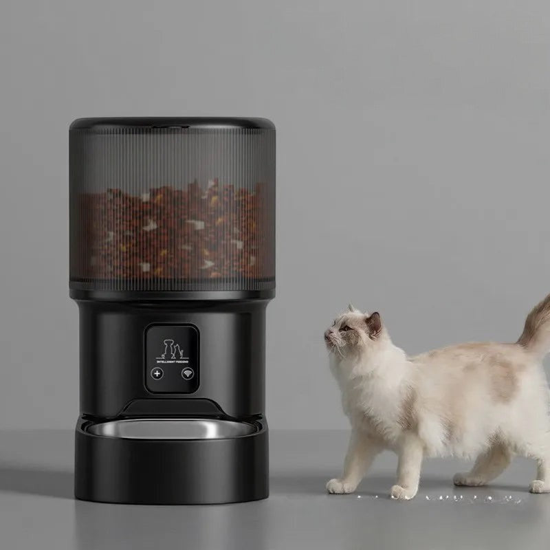 Distributeur automatique de croquettes Esprit Chat noir avec écran LCD et bol en inox pour chat