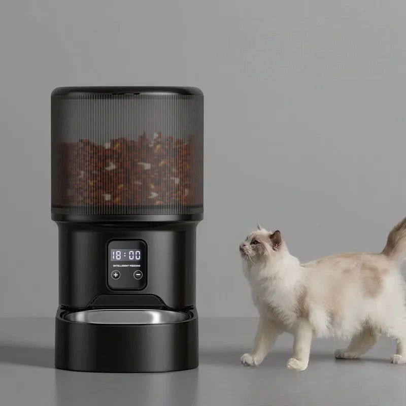 Distributeur de croquettes automatique Esprit Chat noir avec écran LCD et réservoir cylindrique pour chat