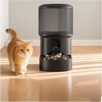 Distributeur de croquettes automatique Esprit Chat noir avec écran LCD et design cylindrique moderne pour chat