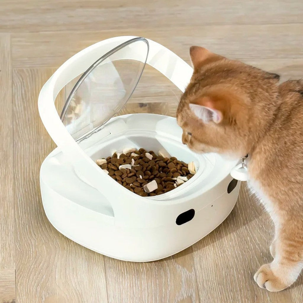 Distributeur automatique de croquettes Esprit Chat blanc avec couvercle transparent et capteur pour chat roux