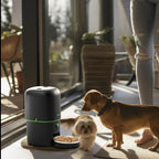 Distributeur automatique de croquettes connecté Esprit Chat noir avec caméra HD pour chiens et chats