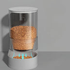 Distributeur de croquettes par gravité Esprit Chat en plastique transparent et blanc pour chat