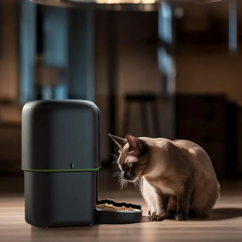 Distributeur automatique de croquettes Esprit Chat noir avec caméra HD et bol en acier inoxydable pour chat