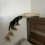 Chaton tabby explorant une étagère murale en bois Esprit Chat fixée au-dessus d'une tête de lit en bois rustique.