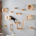 Ensemble d'étagères murales Esprit Chat en bois naturel pour arbre à chat avec perchoirs, tunnel et capsule transparente