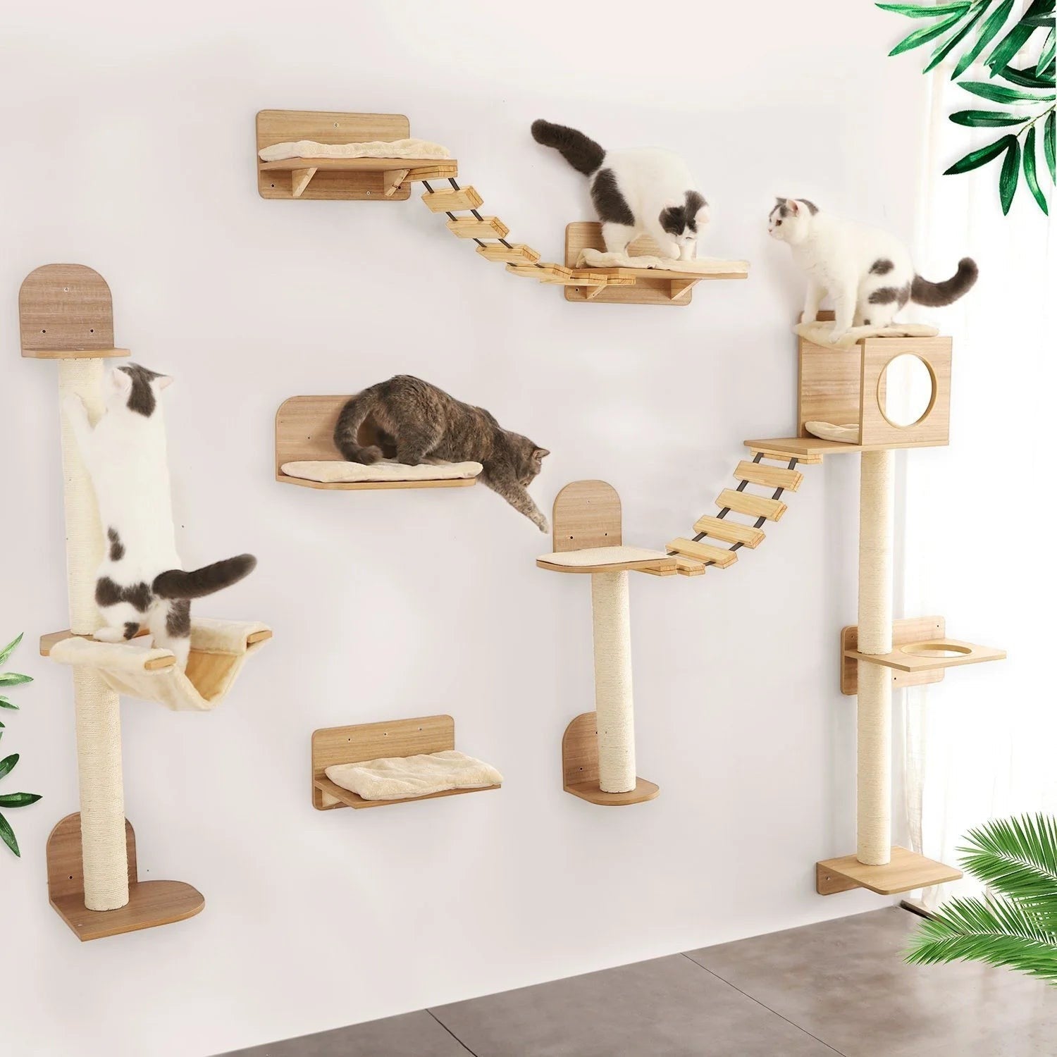 Ensemble d'étagères murales Esprit Chat en bois pour arbre à chat avec passerelles et perchoirs pour félins