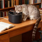 Fontaine à eau moderne en plastique noir de 3L, avec filtre et capteur de mouvement, pour chats et chiens, par Esprit Chat.