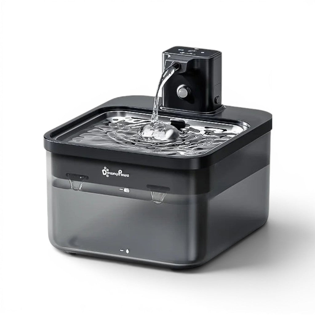 Fontaine à eau sans fil Esprit Chat en acier inoxydable avec réservoir transparent et système de filtration