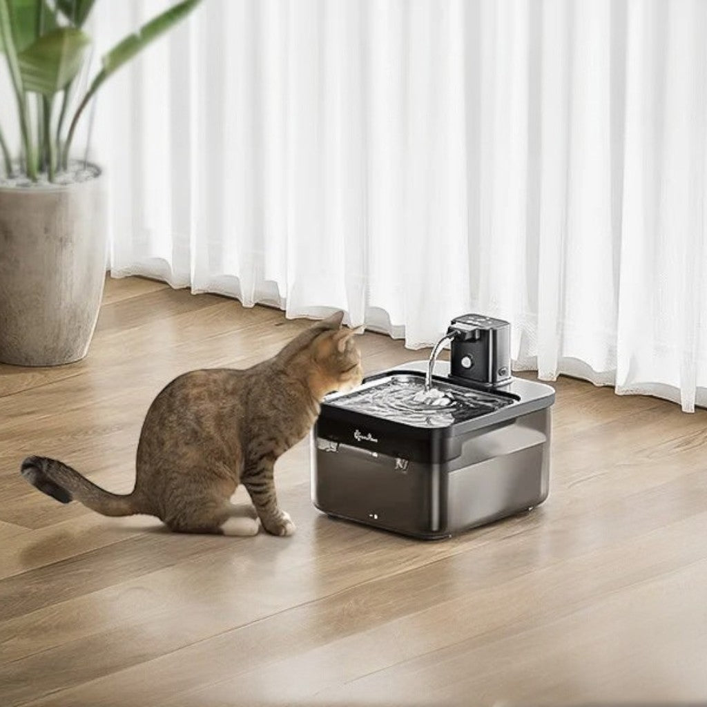 Fontaine à eau sans fil Esprit Chat en acier inoxydable pour chat, design moderne et silencieux sur sol en bois