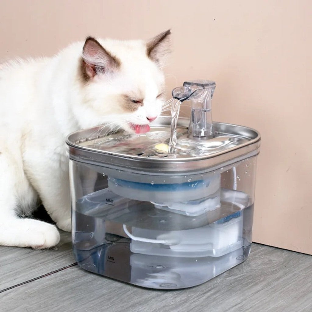 Fontaine à eau transparente automatique Esprit Chat en acier inoxydable et plastique, 2L, pour chats.
