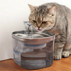 Fontaine à eau transparente automatique en acier inoxydable pour chats, 2L, avec filtre
