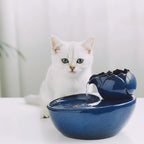 Fontaine à eau en céramique bleue Esprit Chat pour chats, avec un chat blanc buvant.