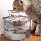 Fontaine à eau transparente automatique en acier inoxydable pour chats, 2L, avec filtre, par Esprit Chat