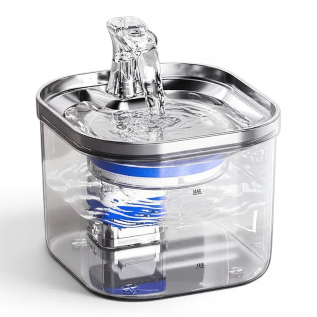 Fontaine à eau transparente automatique pour chats en acier inoxydable 304 et plastique PP, 2L, avec filtre USB.