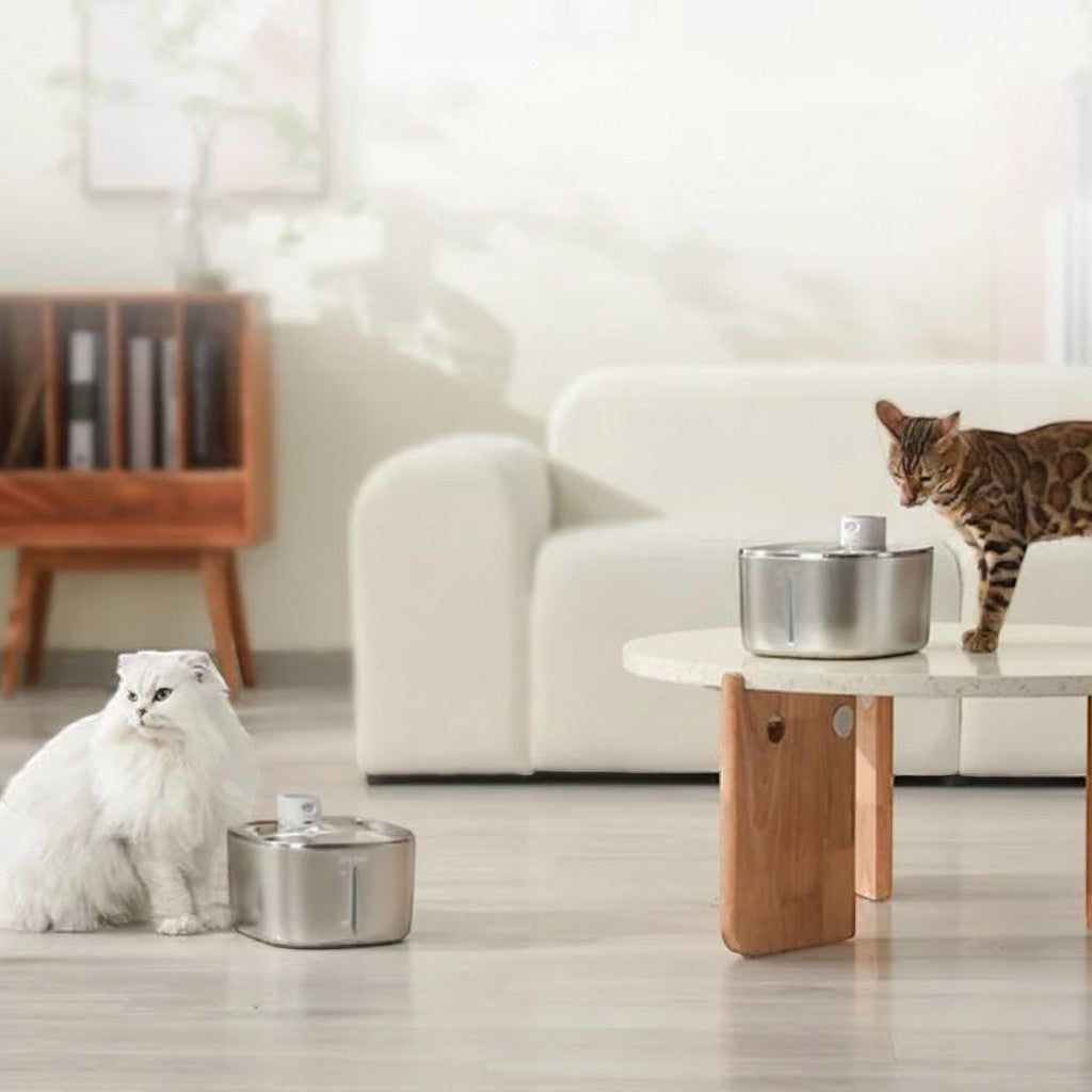 Fontaine à eau automatique sans fil en acier inoxydable APETDOLA pour chats, avec deux chats à proximité.