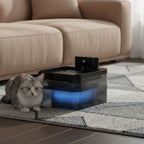Fontaine à eau automatique en plastique noir pour chat, avec réservoir lumineux bleu, par Esprit Chat.