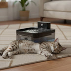 Fontaine à eau automatique en plastique noir et transparent pour chat, avec un jet d'eau doux. Marque Esprit Chat.