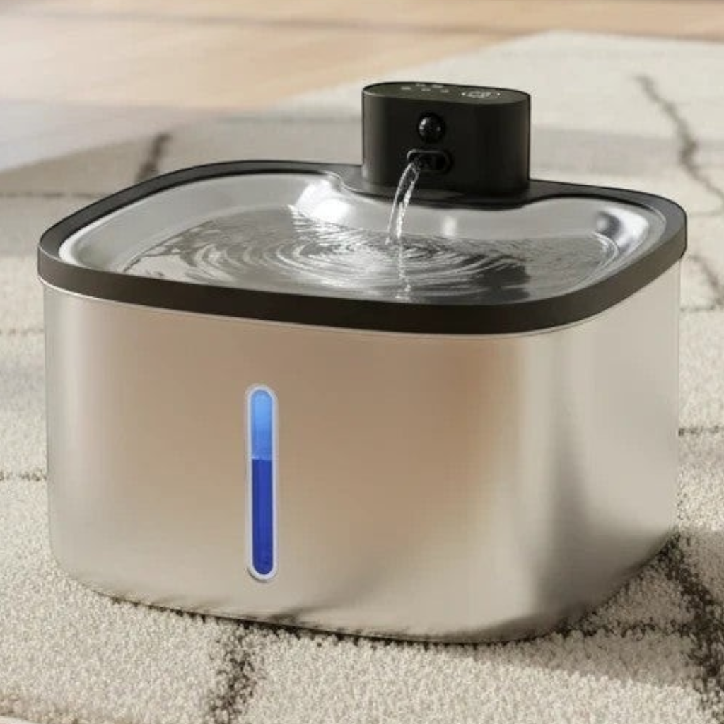 Fontaine à eau sans fil en acier inoxydable argenté Esprit Chat, avec indicateur de niveau d'eau bleu.