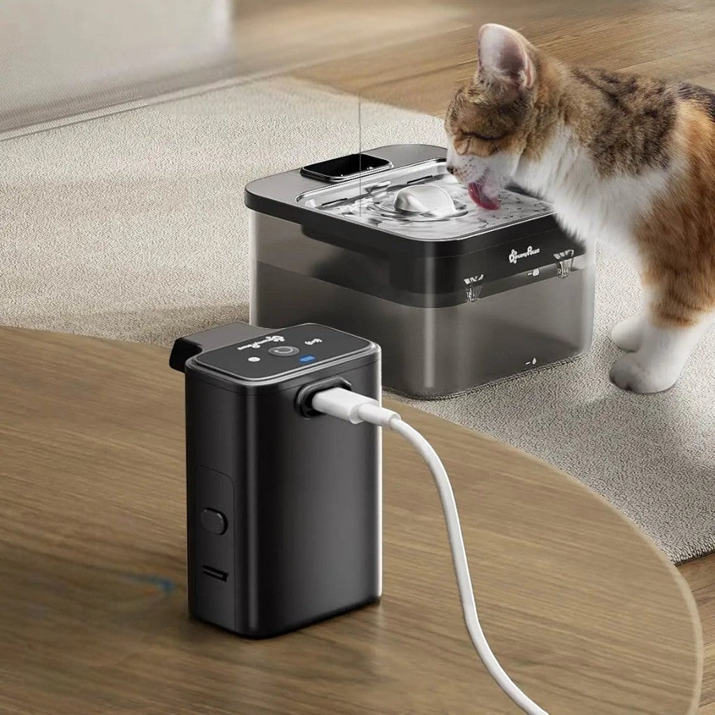 Fontaine à eau automatique Esprit Chat en acier inoxydable, avec un chat buvant.