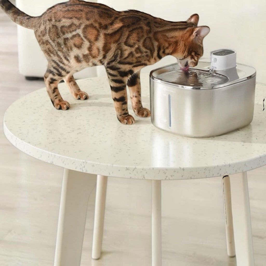 Fontaine à eau automatique sans fil en acier inoxydable Esprit Chat, avec indicateur de niveau d'eau.