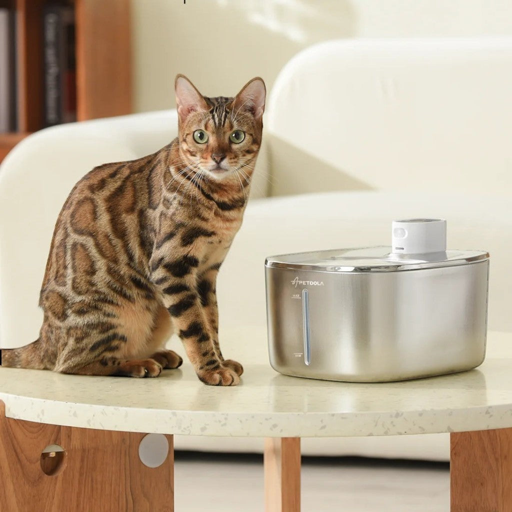 Fontaine à eau automatique sans fil en acier inoxydable APD APETDOLA pour chats, avec indicateur de niveau d'eau.
