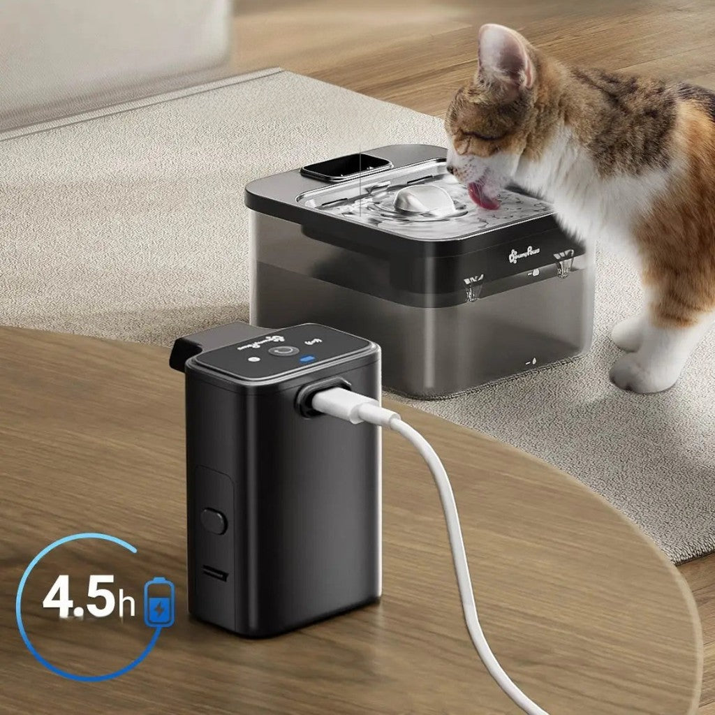 Fontaine à eau sans fil Esprit Chat en acier inoxydable avec batterie rechargeable pour chat buvant tranquillement