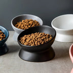Gamelle inclinée Esprit Chat en céramique noire pour chat, design ergonomique surélevé avec croquettes