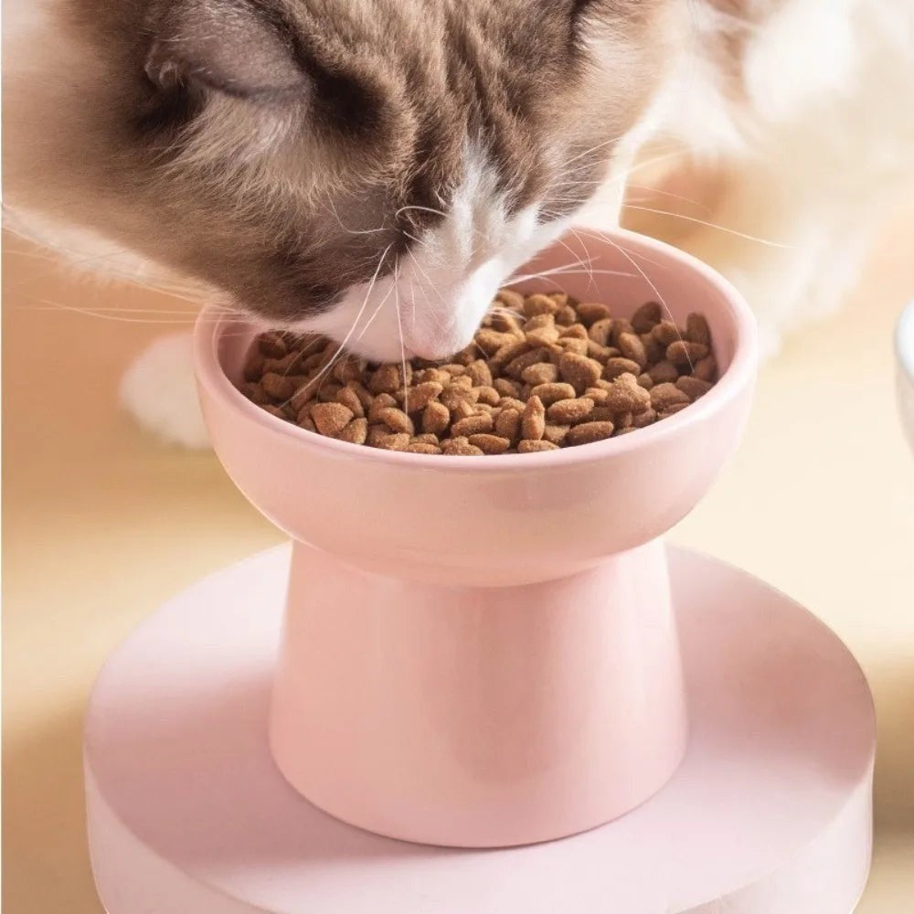 Gamelle surélevée Esprit Chat en céramique rose pour chat, design ergonomique arrondi avec croquettes