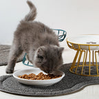 Chaton gris mangeant dans une gamelle en céramique Esprit Chat surélevée par un support en métal doré