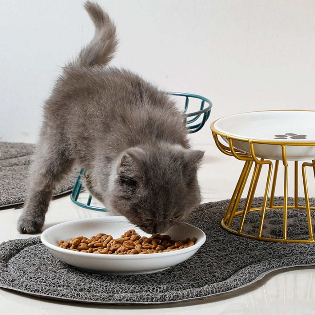 Chaton gris mangeant dans une gamelle en céramique Esprit Chat surélevée par un support en métal doré