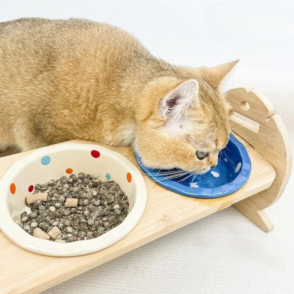 Chat mangeant dans une gamelle en céramique Esprit Chat sur un support en bois surélevé avec des pois colorés