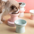 Chat mangeant dans une gamelle surélevée en céramique Esprit Chat de couleur pastel