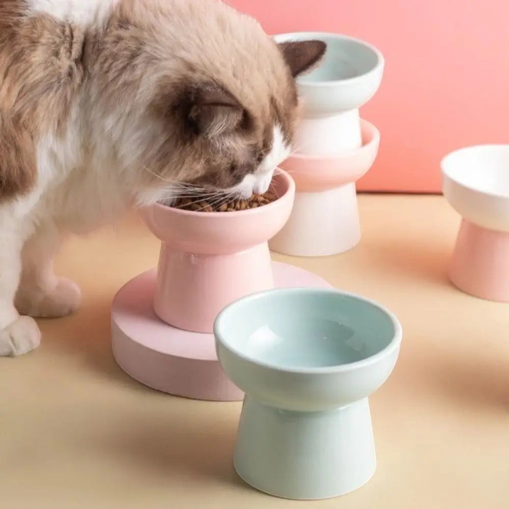 Chat mangeant dans une gamelle surélevée en céramique Esprit Chat de couleur pastel
