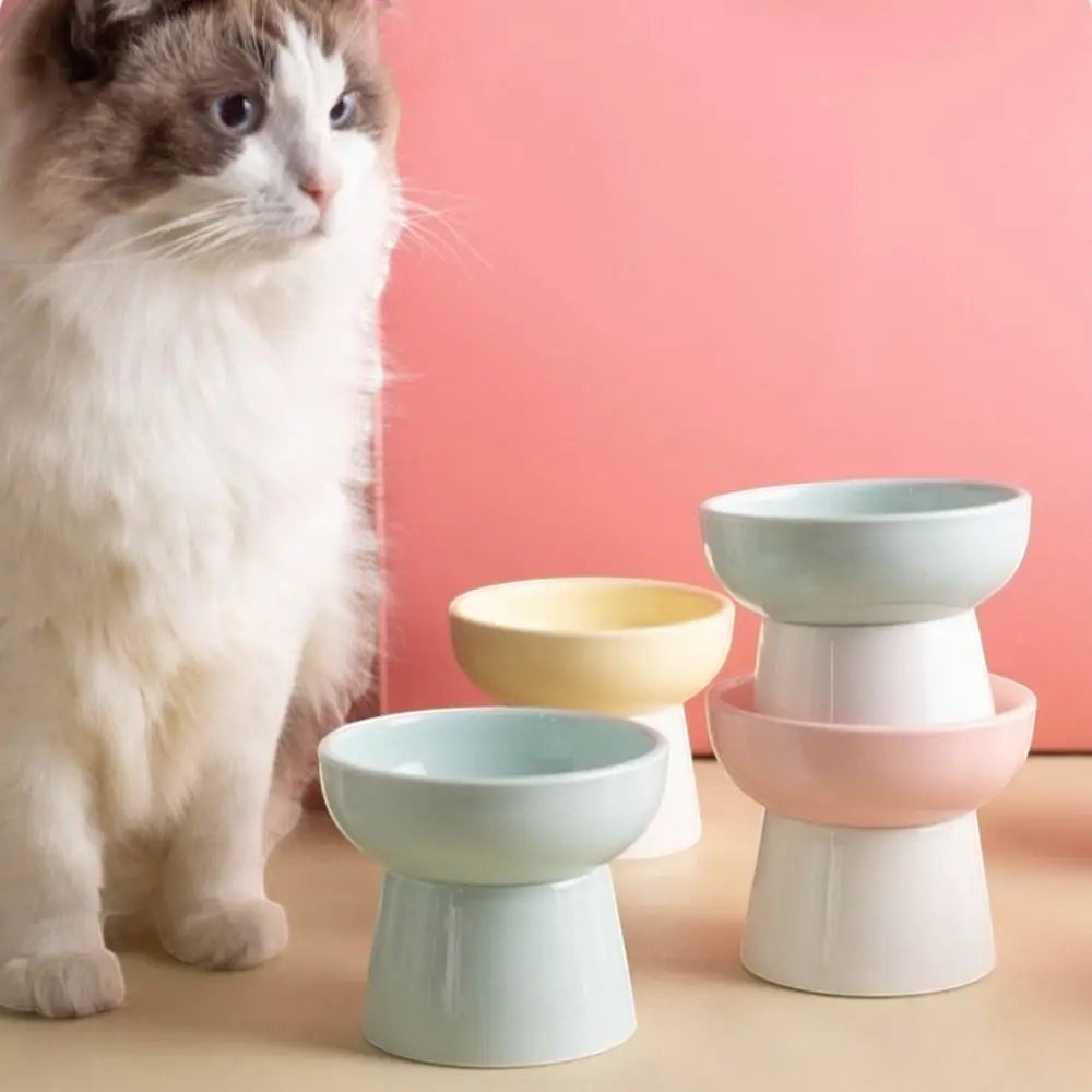 Gamelle surélevée Esprit Chat en céramique aux couleurs pastel pour chat, design arrondi et ergonomique
