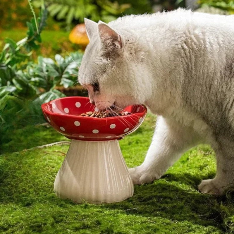 Chat blanc mangeant dans une gamelle Esprit Chat en forme de champignon rouge sur une pelouse verte