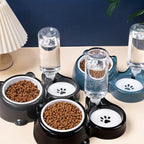 Gamelle double Esprit Chat en acier inoxydable avec distributeur d'eau automatique et base antidérapante