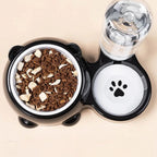 Gamelle Esprit Chat double avec distributeur d'eau automatique, bol en acier inoxydable et base noire en forme d'ours