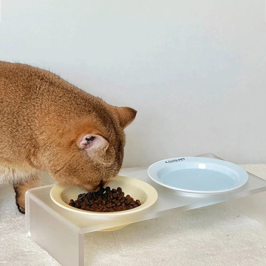 Gamelle double en céramique Esprit Chat avec support transparent, un chat roux mangeant ses croquettes