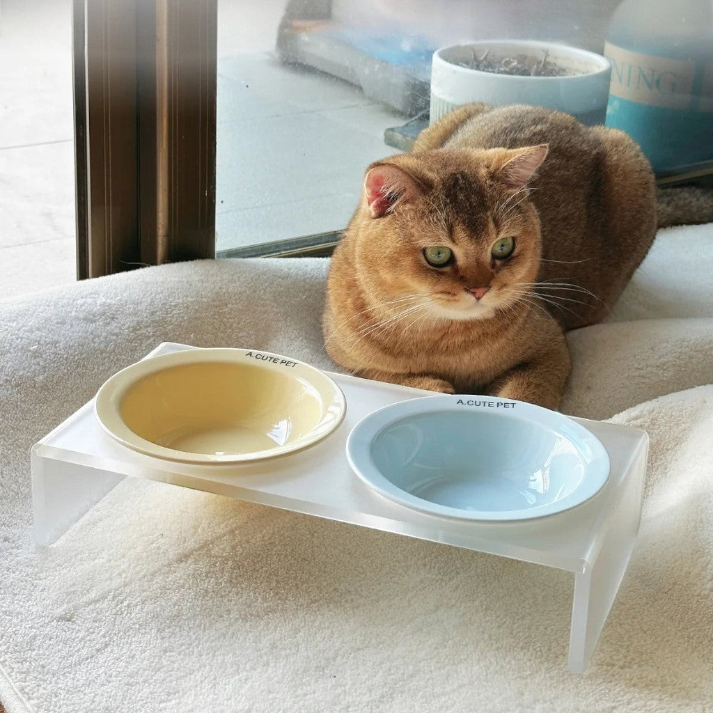 Gamelle double Esprit Chat en céramique avec support surélevé transparent, bols pastel jaune et bleu pour chat