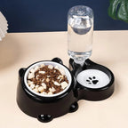 Gamelle Esprit Chat noire avec bol en inox et distributeur d'eau automatique pour chat